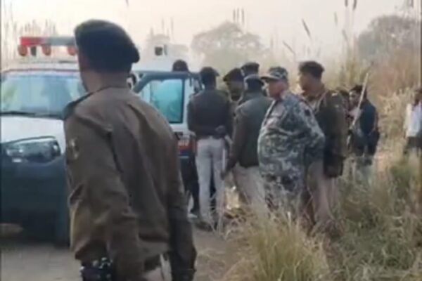जंगल में पेड़ से लटके मिले दो कंकाल, DNA रिपोर्ट का इंतजार; भाई ने जताई ऑनर किलिंग की आशंका