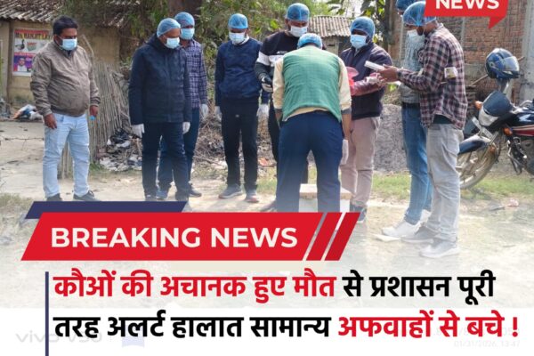Bihar news : मैनाटांड़ में कौओं की अचानक हुए मौत से प्रशासन पूरी तरह अलर्ट, हालात सामान्य, अफवाह फैलाने वालों पर होगी कार्रवाई